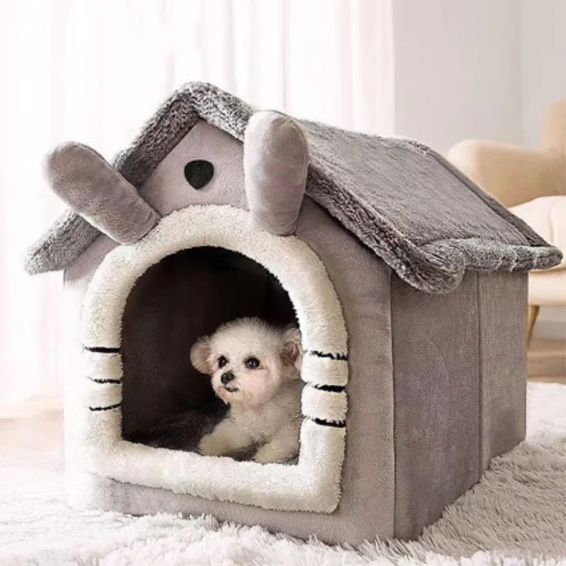 Cats and Dogs House