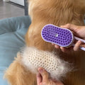 Pet Electric Spray Hair Removal Comb